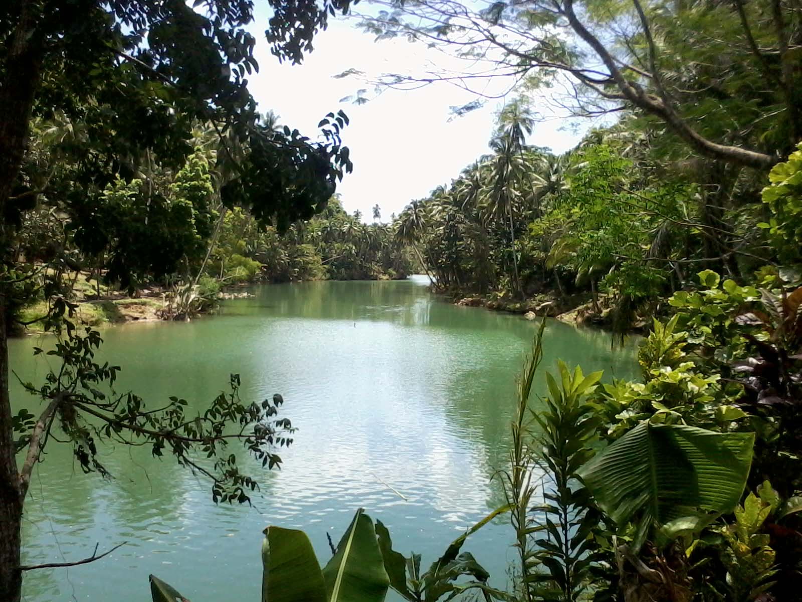 Loboc Bohol Enjoy the beautiful river and lush paddyfields