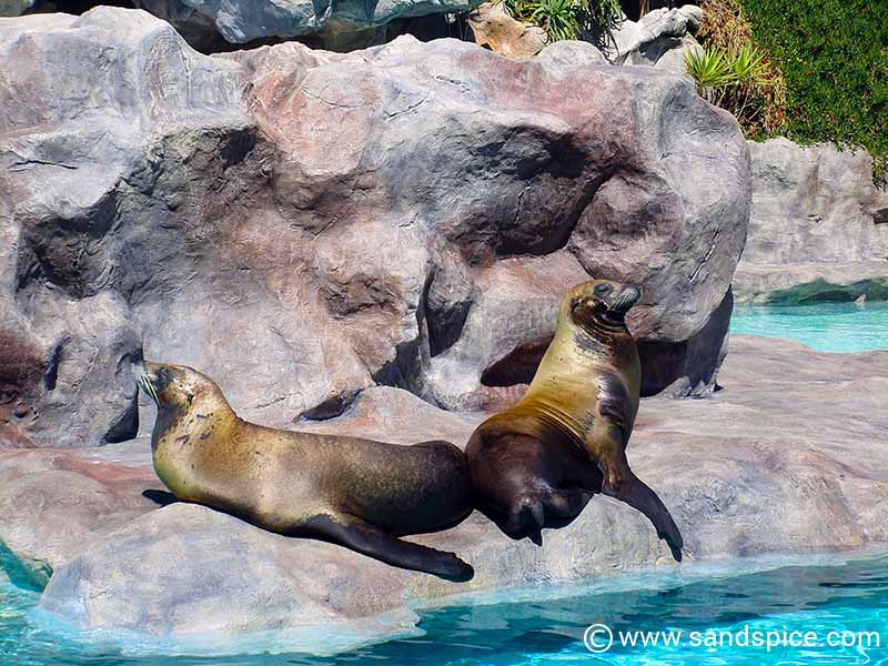 Tenerife's Siam Park Sensation