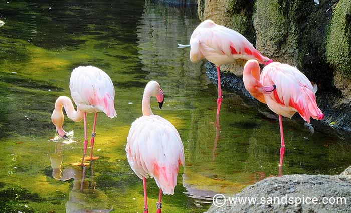 Must-do Valencia Activities