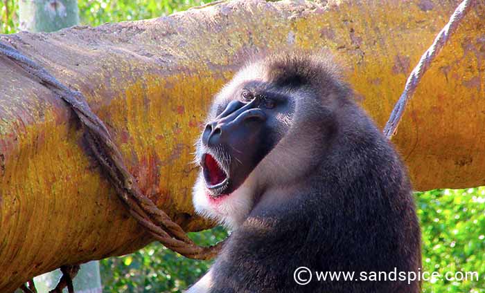 Must-do Valencia Activities