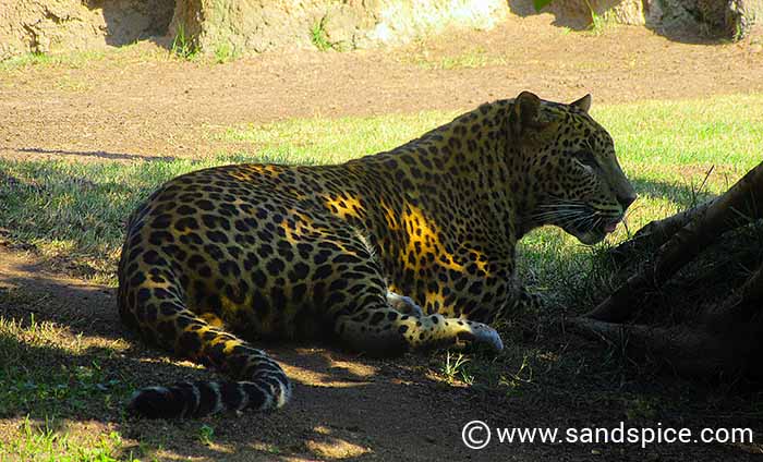 Must-do Valencia Activities