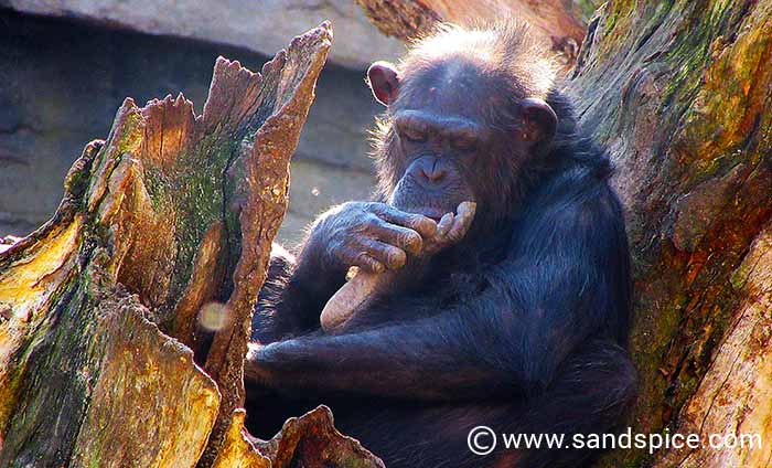 Must-do Valencia Activities