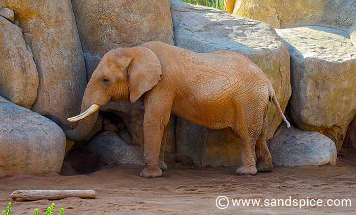 Must-do Valencia Activities