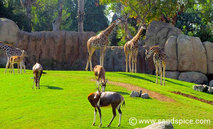 Must-do Valencia Activities