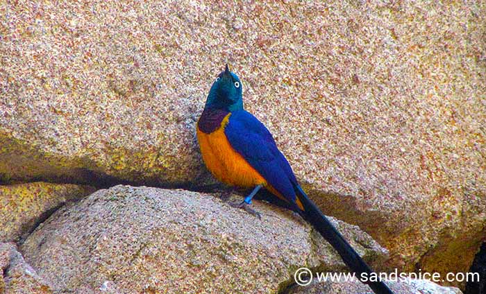 Must-do Valencia Activities