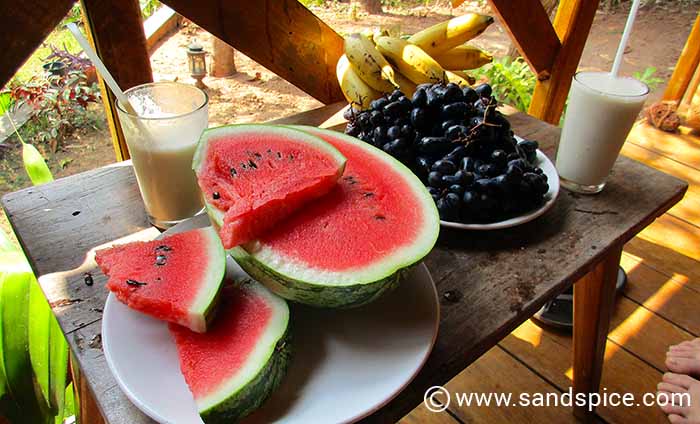 Cliffs of Varkala, Kerala - A feast of fruit at the Satta Beach Residence