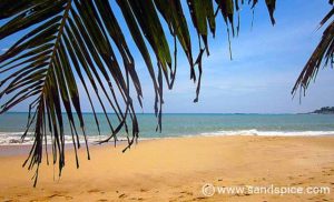 Tangalle Beaches 🌴 Tantalizing Tangalle, Sri Lanka