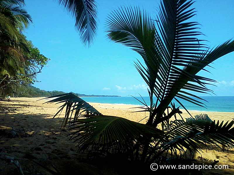 Isla Colon Bocas Del Toro