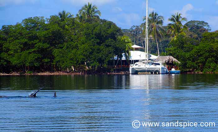 Bocas Del Toro Snorkeling