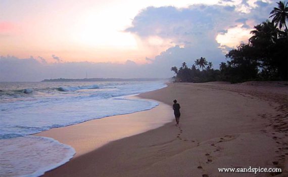Sri Lanka Travel Plan: 21-day rollercoaster to World’s End and beyond