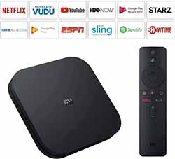 Portable Streaming Media Player