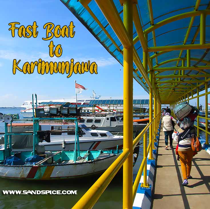 Karimunjawa Fast Boat from Jepara 🛥️ Just 2 hours to Paradise