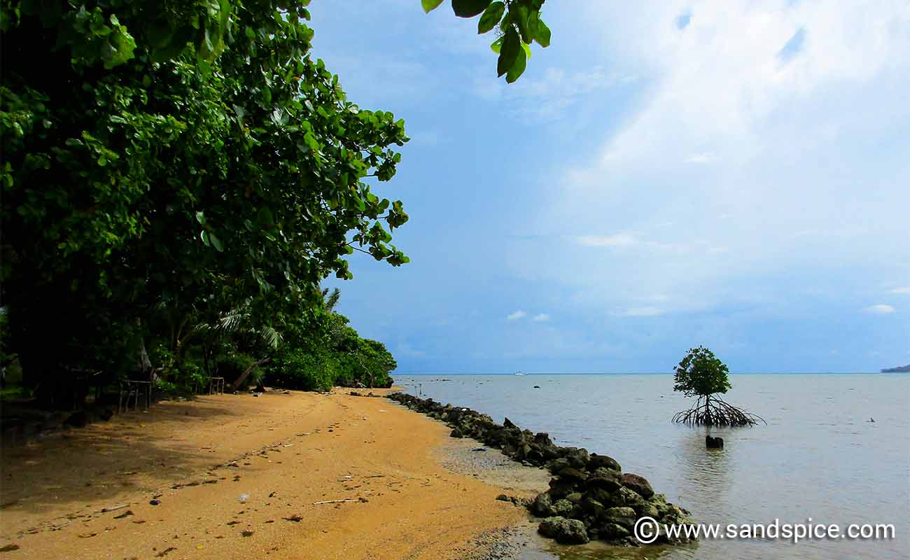 Karimunjawa Island Beaches & Snorkeling 🤿 Locations, Indonesia