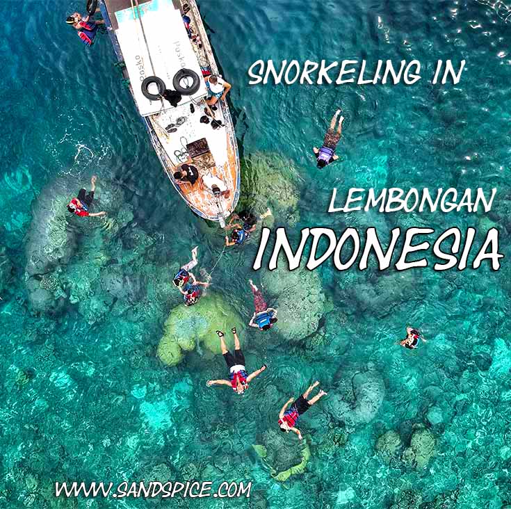 Lembongan Island Snorkeling 🥽 Mangrove Point to Secret Manta