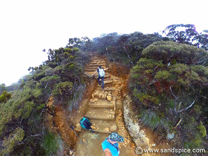 borneo kinabalu-climb