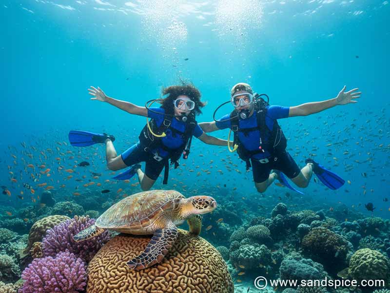 Take a PADI Refresher Day Trip 01