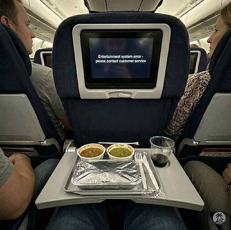 Turkish Airlines Review 💺 A Turbulence-Fueled Descent from Grace