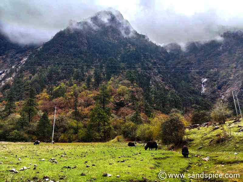 Ghore Tabela