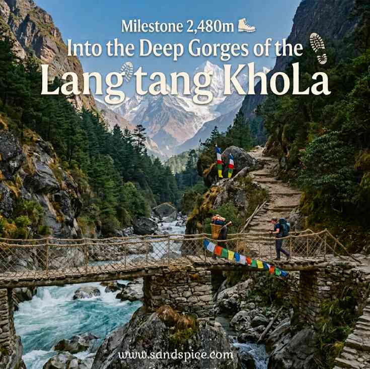 Milestone 2,480m 🥾 Into the Deep Gorges of the Langtang Khola