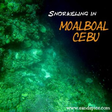 Snorkeling Moalboal Cebu Snorkeling Moalboal Cebu