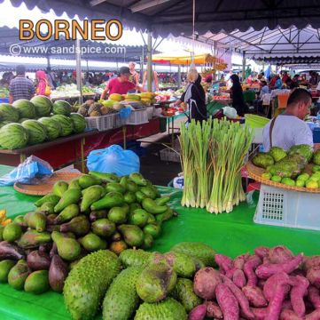 Malaysia Travel Plan Malaysia Travel Plan