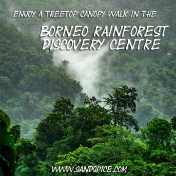 Borneo Rainforest Discovery Centre