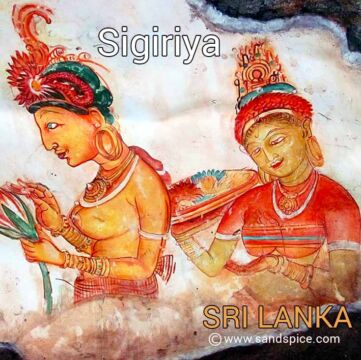 Paradise Inn Sigiriya