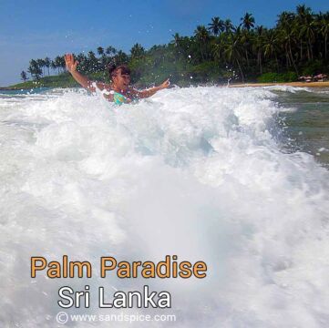 Palm Paradise, Tangalle Palm Paradise