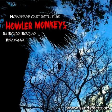 Boca Chica and Boca Brava