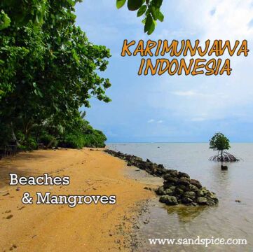 Karimunjawa Island Beaches & Snorkeling
