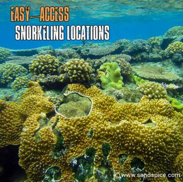 Easy-access Snorkeling Locations