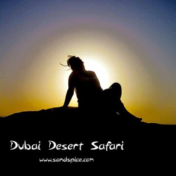 Plan Your Travel - Dubai Desert Safari