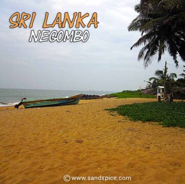 Ceylonica Beach Hotel Negombo ⛱️ What you need to know…