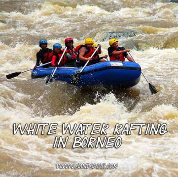 White Water Rafting with the Borneo Wavehunters