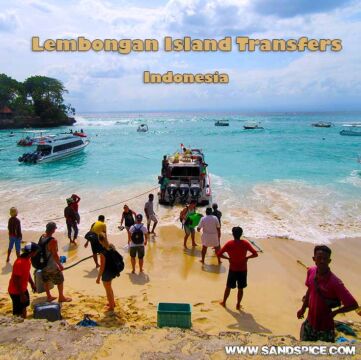 Lembongan Island Transfers π₯οΈ from Ubud to Mushroom Beach