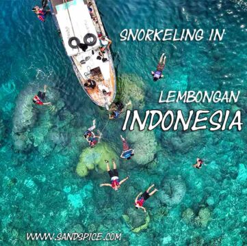 Lembongan Island Snorkeling π₯½ Mangrove Point to Secret Manta