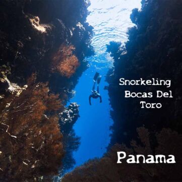 Bocas Del Toro snorkeling tour - Is a full-day worth the $30 ticket?